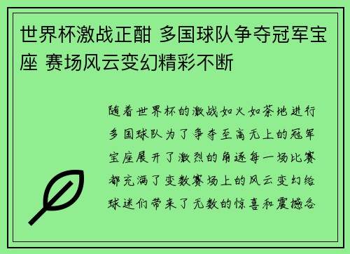 世界杯激战正酣 多国球队争夺冠军宝座 赛场风云变幻精彩不断